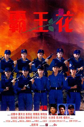 霸王花 国语