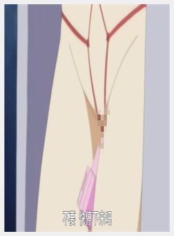 人妻交姦日記 後編
