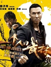 一个人的武林 国语