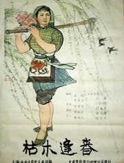 枯木逢春