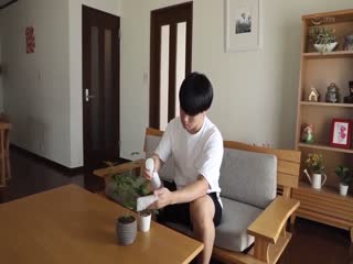 用美丽的乳房和可爱的嫂子热情地询问他们的原因的苍白青年的回忆