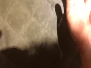 身材样貌一流的高颜值大学美女高级公寓