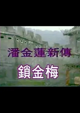 潘金莲新传锁金梅