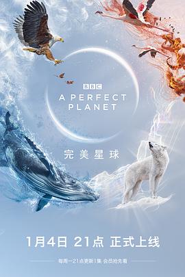 完美星球 英语