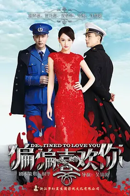偏偏喜欢你 DVD版