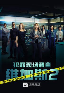 犯罪现场调查维加斯 第二季
