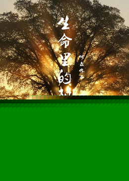 生命里的阳光