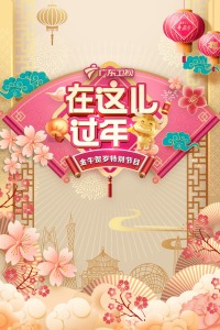 在这儿过年广东卫视金牛贺岁特别节目