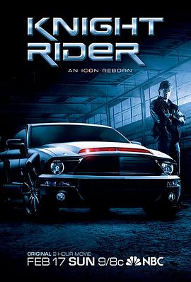 霹雳游侠2008 电影版