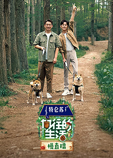 向往的生活 第七季 慢直播