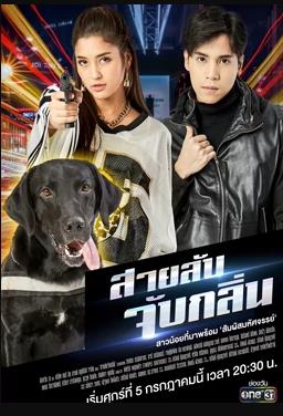 侦探K9普 国语
