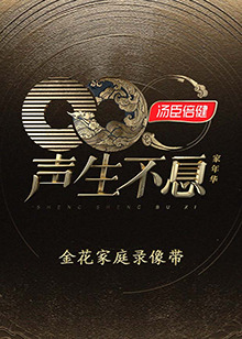 声生不息家年华金花家庭录像带