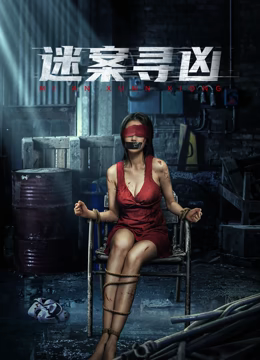 迷案寻凶 电影版