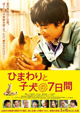 向日葵与幼犬的7天 国语