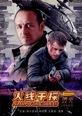 火线干探之毁灭 国语