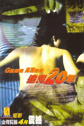 追凶20年 国语