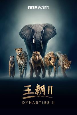 王朝 第二季 中配版