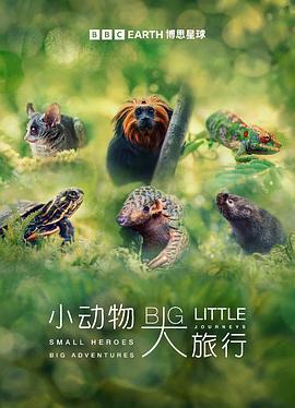 小动物大旅行 第一季