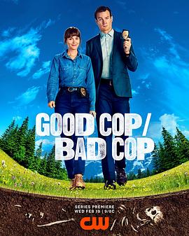 好警察/坏警察 第一季