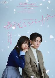 奇怪的搭档 日本版