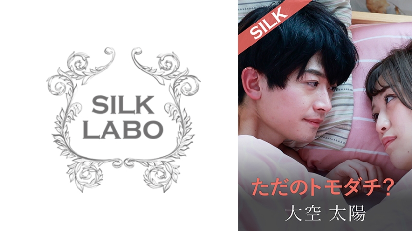 SILKS-104 闺蜜以上恋人未满？朋友界限突破实录！激情四射的秘密关系