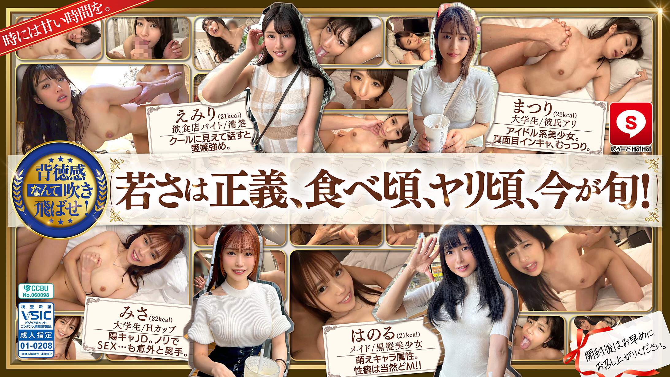 HOIZ162 诱人小可爱#14素人Z计划：交友软件约炮实录情趣酒店一夜情私密拍摄！