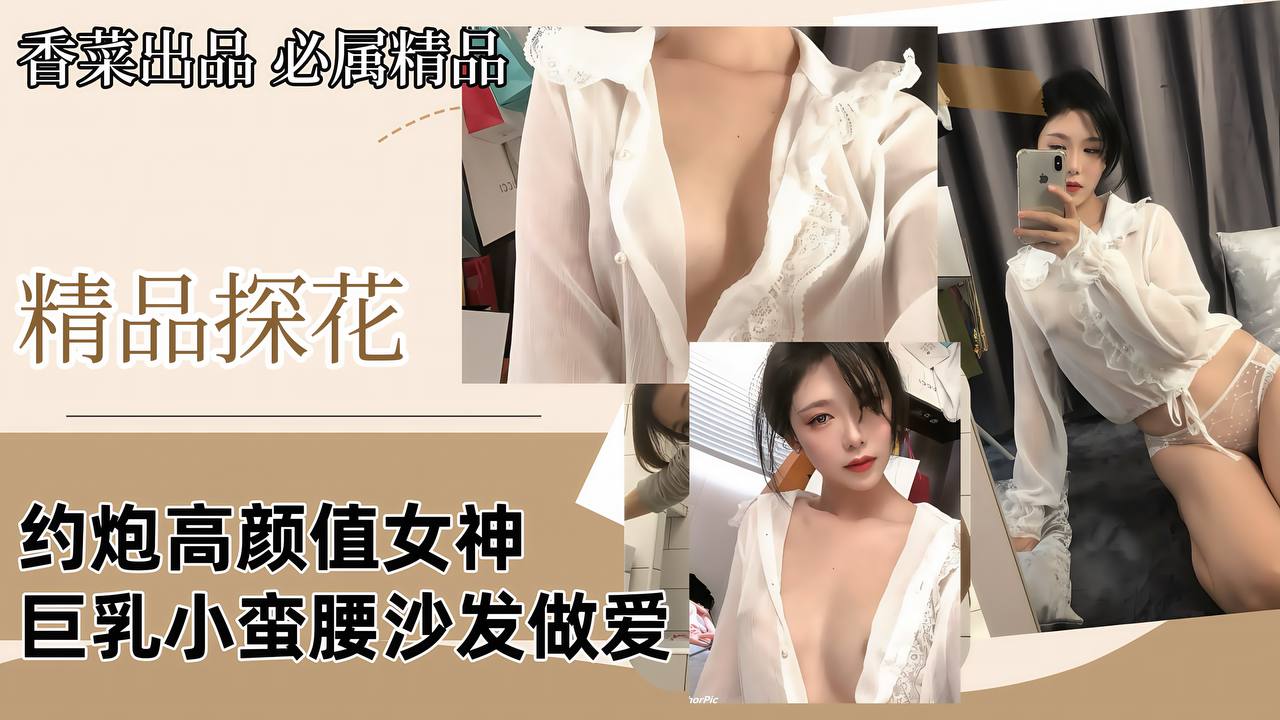 精品探花约炮高颜值女神巨乳小蛮腰沙发做爱