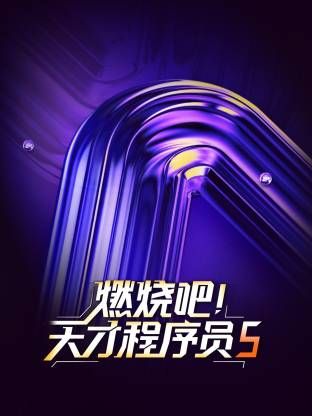 燃烧吧！天才程序员 第五季