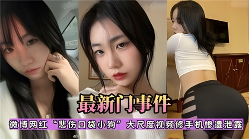 网红悲伤口袋小狗私密视频泄露！修手机竟曝出大尺度完整版