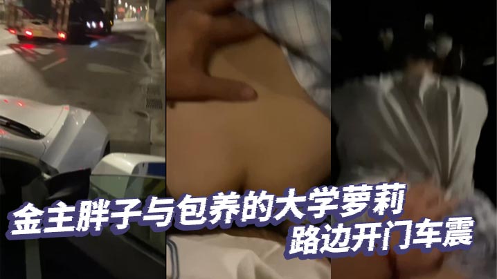金主胖子与包养的大学萝的莉路边开门车震