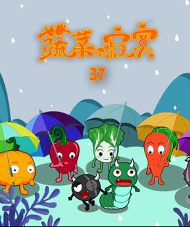 蔬菜不寂寞 第三十七季