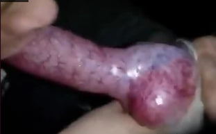 [无码] 俊美男仆跪舔狗屌 极致兽欲调教